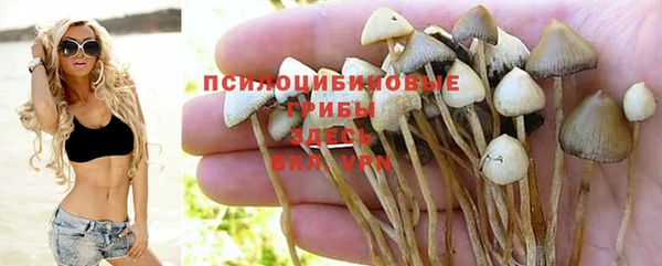 мяу мяу кристалл Арсеньев