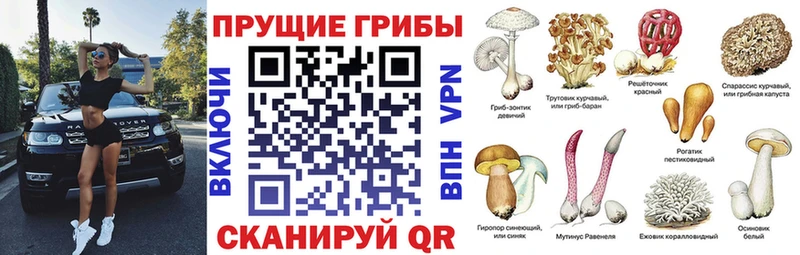 Галлюциногенные грибы ЛСД  Ленинск 
